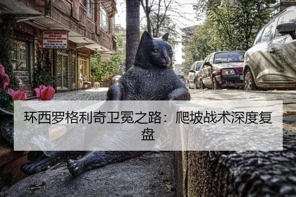 huan-xi-luo-ge-li-qi-wei-mian-zhi-lu-pa-po-zhan-shu-shen-du-fu-pan-3-305.jpg