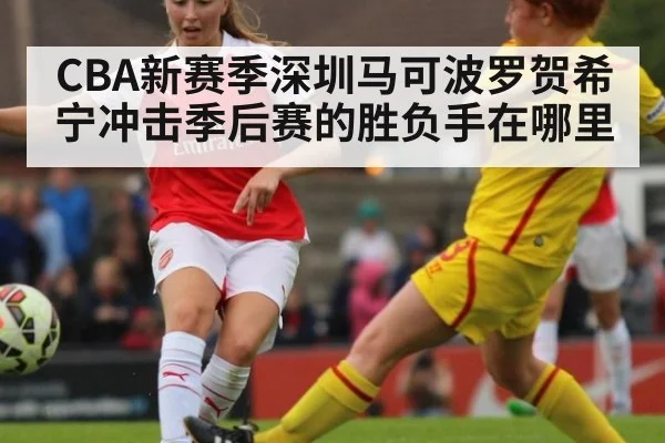 CBA新赛季深圳马可波罗贺希宁冲击季后赛的胜负手在哪里