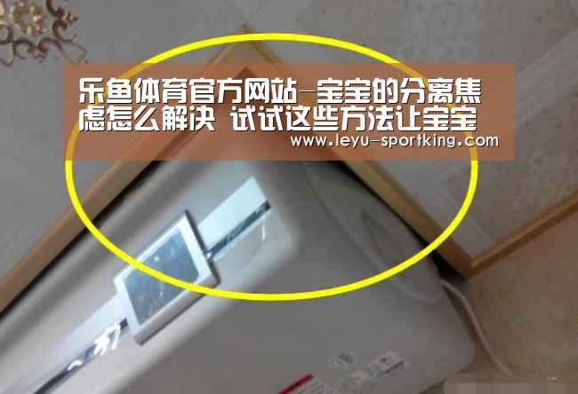 乐鱼电竞APP